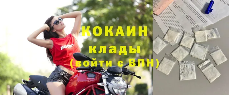 COCAIN FishScale  как найти   Лебедянь 